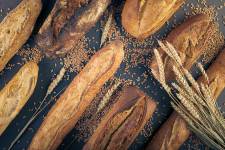 Cédric GIRARD - Studio Bouinotte