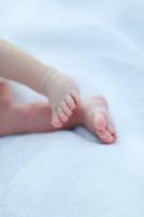 Jessica TOUCHARD - SILA STUDIO