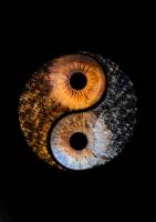 Maxime MOLLÉ - NOTH.RAW Photographie